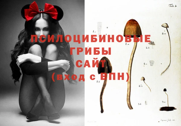 каннабис Арсеньев